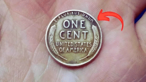 Top 10 Rare Pennies That Made People Make You Rich in Overnight